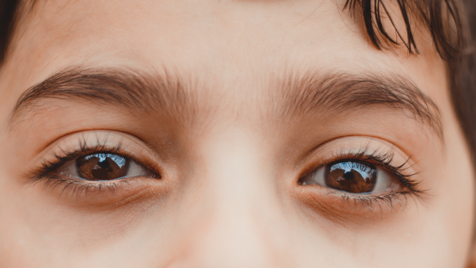 Explotación Sexual y la Trata de Personas