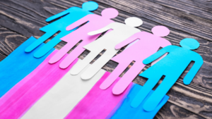 Personas Trans para Empresas