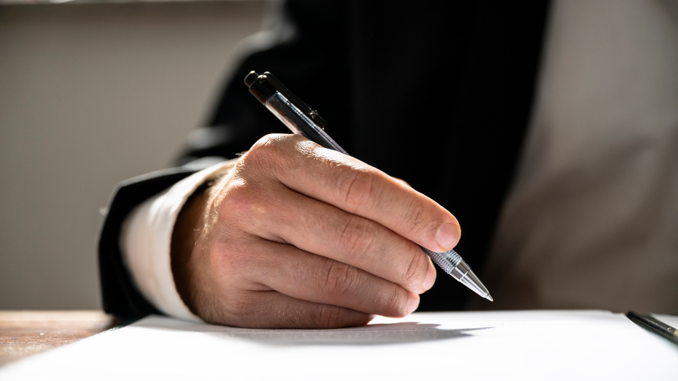 directrices institucionales