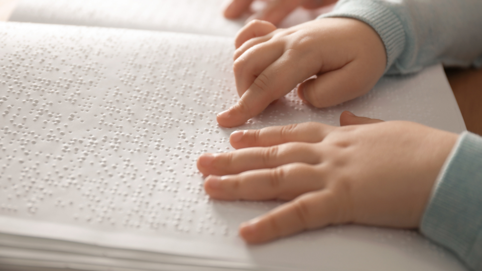 dia mundial del braile